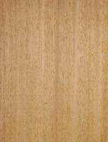 Iroko
