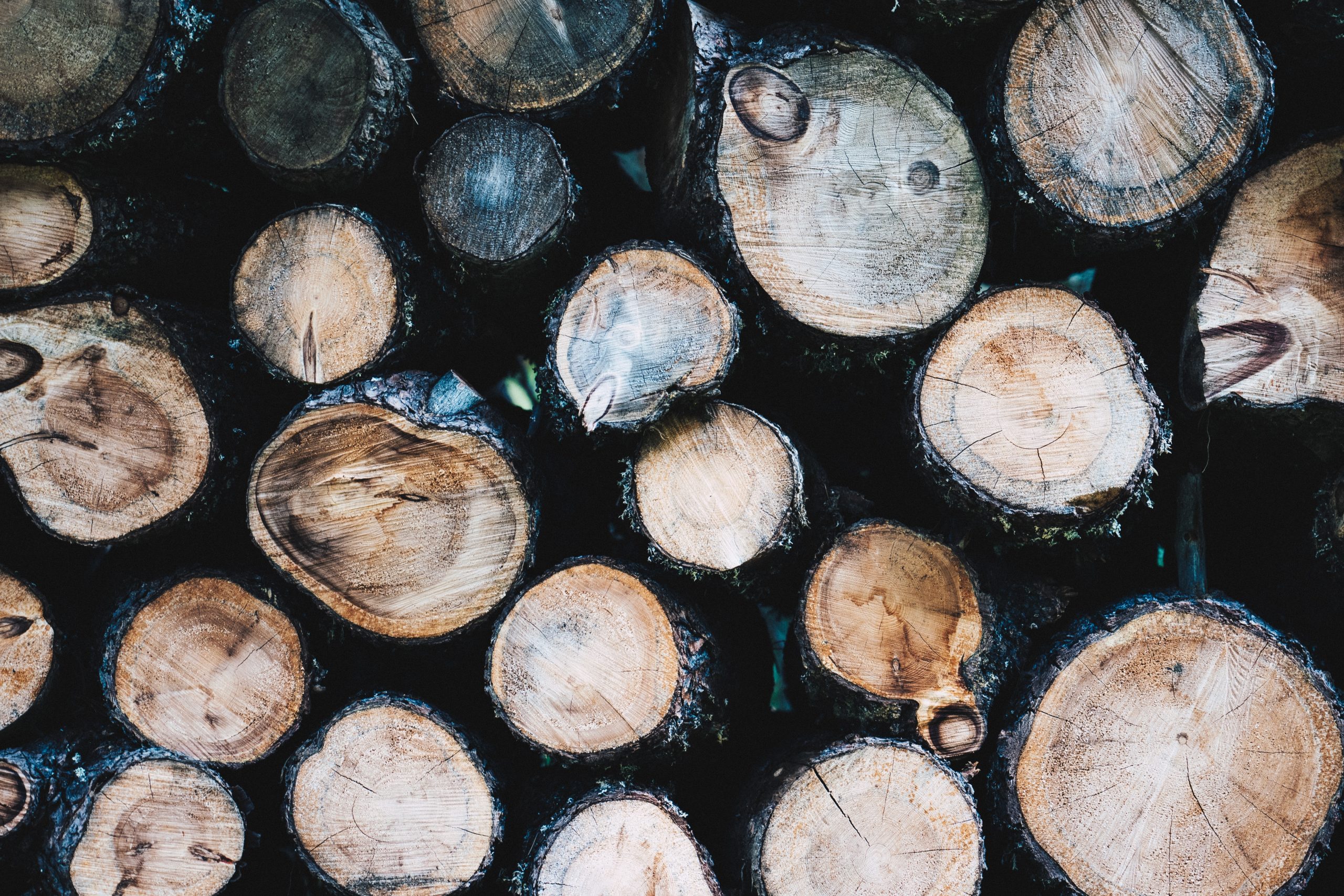 bence-balla-schottner-VfY7oCPpkkg-unsplash